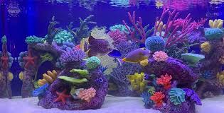 Once the foam was fully cured i tore off the top and tried gluing it to a scrap ball of foam. Artificial Coral Inserts Ocean Aquaria Custom Designs