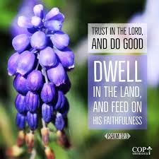 Hebrews 11:6 and without faith it is impossible to please him, for whoever would draw. Trust In The Lord And Do Good Dwell In The Land And Feed On His Faithfulness Psalm 37 3 Coptorthodox Coptorthodox Coptico Psalms Psalm 37 3 Psalms 91 11