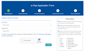 The parent that cannot go with the child must: Guide For Requirements To Lodge Application Forms Filling And Process In 2021 Ethiopia