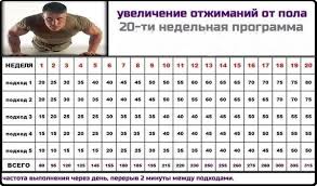 Содержание где качать пресс — в тренажёрном зале или дома какая одежда подойдёт для тренировки на пресс Kachanie Pressa Shema