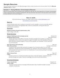 I like how he has those circles with the amount of knowledge he has in each department he specializes in. Sample Inspiring Resumes Intellectual Point
