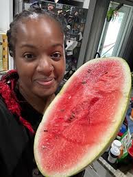 Baby watermelon and cantaloupe growing in SW Florida/Siesta Key