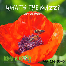 We also commonly found that they visit garden plants, for example lupins (lupinus). Did You Know Bees Have Two Stomachs One Stomach For Eating And The Other Special Stomach Is For Storing Nectar Collected Bee Removal Bee Facts Bee Keeping