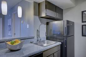 Apartment pest control tips for managers. How To Prevent Pests In Your Apartment Tips Forrent