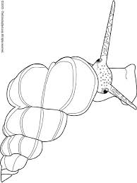 Sea Snail Sea Snail Butterfly Coloring Page Coloring Pages
