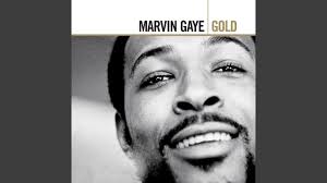 Distant Lover (Live At Oakland Coliseum, CA