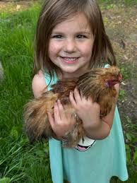 Everything Backyard Chicken!