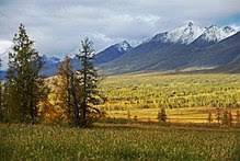 Der ural (russisch урал, уральские горы; Ural Mountains Wikipedia