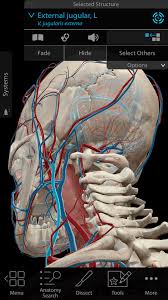 Anatomy 3d atlas allows you to study human anatomy in an easy and interactive way. Free Human Anatomy Atlas 2018 Complete 3d Human Body Apk Download For Android Getjar