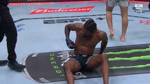 Dolidze defeats Holland by TKO after Holland suffers a rib injury.