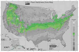 They are widely grown in almost every rose growing nation in the world, including the us, canada, au. Usda Gardening Zone 6 Lovetoknow