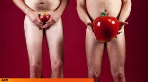 España es M o XXL? El mapa de los tamaños de pene ordenado por países