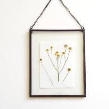 We did not find results for: Diy Pressed Flower Frame Flyaway Bluejay