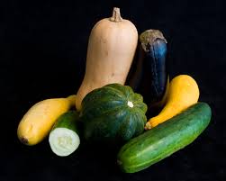 Image result for Cucurbitaceae