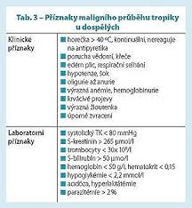 Příznaky malárie zahrnují bolesti hlavy a únavu, stejně jako cyklické horečky, zimnici a pocení. Malarie Klinicky Obraz A Lecba Zdravi Euro Cz