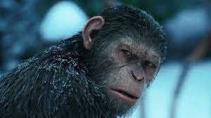 Caesar Og Hans Aber Bliver Tvunget Ind I En Dodbringende Konflikt Med En Gruppe Svaert Bevaebnede Mennesker Under Lede Planet Of The Apes Apes Best Movie Posters