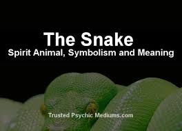What Does The Snake Spirit Animal Really Mean Find Out The True Meaning And Symbolism Of The Snake In Th Snake Spirit Animal Spirit Animal Spirit Animal Totem