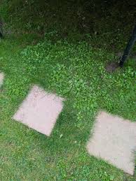 Image result for site:byggahus.se Algomin