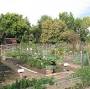 Profile Picture of Jesse Frey Community Garden - City of San Jose (@sanjoseca.gov) on Google