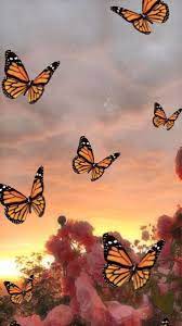 Free for commercial use high quality images Original Butterfly Aesthetic Butterfly Wallpaper Backgrounds Iphone Wallpaper Vintage Landscape Wallpaper