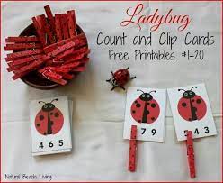So here we bring you 15 creative & fun activities for preschoolers. Ladybug Math For Preschoolers Free Printables Count Clip Natural Beach Living Bug Activities Ladybugs Preschool Bugs Preschool
