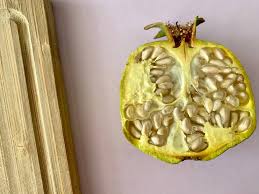 For this same reason, you needn't be put off by minor abrasions on the surface of the fruit. What Are The Benefits Of Eating Unripe Pomegranate Miss Vickie