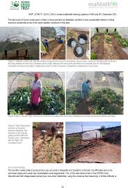 Mahlathini development foundation