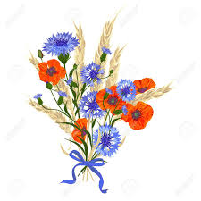 Le bouquet de coquelicots du dessin vient d'être cueilli. Magnifique Bouquet De Bleuets Coquelicots Et Epillets De Ble A Egalite Avec Ruban De Soie Isole Sur Blanc La Meilleure Idee Pour Les Cartes De Voeux Invitations Conception De Mariage Clip Art