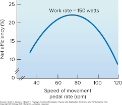 Common Measurements In Exercise Physiology Exercise