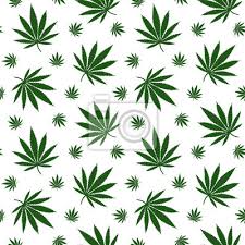 Hallo , ich wollte fragen ob ich mir helfen könnt. Grune Blatter Cannabis Marihuana Droge Kraut Muster Nahtlose Leinwandbilder Bilder Medicals Medicative Legalisieren Myloview De