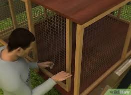 Dengan begitu, burung menjadi cepat selesai mabung. Cara Membuat Sangkar Burung 13 Langkah Dengan Gambar Wikihow