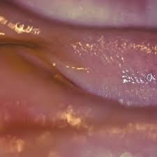 Image result for Autre Ne Veut