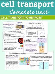 Transport of alkaline phosphatase (alp) to the thank you for your answer and paper. Cell Transport Unit Plan Supports Digital