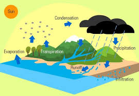 The Water Cycle Water Cycle Water Pollution Water Cycle For Kids
