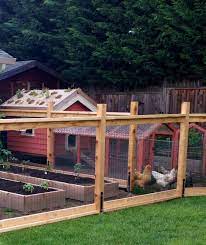 It measures 7 feet tall, 5 feet wide, and 5 feet deep with a 6 foot long run. Chicken Coop With Attached Fenced In Garden Fenced Vegetable Garden Backyard Remodel Chickens Backyard