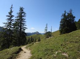 Ausflugstipp Wanderung Auf Den Rabenkopf In 2020 Ausflug Wanderung Zugspitze
