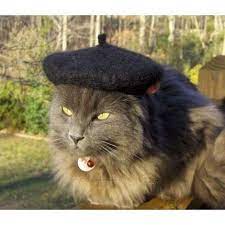 Cat Hat In French Lyrics Catqp