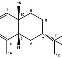Combined Analysis by GC(RI), GC-MS and 13C NMR of Leaf and ...