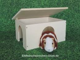 Für meerschweinchen, zwergkaninchen und ratten hervorragend geeignet. Meerschweinchen Haus Die Neuesten Besten Modelle Neu 2021