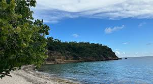 Image result for Cliff Green 1979 Hyundai