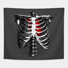 Wayne vogl and adam w.m. Ribcage Skeleton Red Heart Anatomy Skeleton Rib Cage Gobelin Teepublic Pl