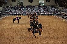 Hand made portraits, pencil sketches of animals, landscapes and situational scenes. Cadre Noir Wikipedia