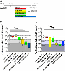 Pt testing is an important tool for ensuring your testing is accurate and reliable. Albendazole And Antibiotics Synergize To Deliver Short Course Anti Wolbachia Curative Treatments In Preclinical Models Of Filariasis Pnas