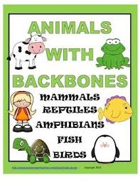 Does a snake have a backbone? Animals With Backbones Posters Animals With Backbones Mammals Animals