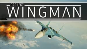 Tricks for unlocking all the trophies for ace combat 5: Project Wingman Video Game Tv Tropes