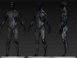 Ubisoft senior character artist pascal ackermann has released a free rendered turntable of a detailed zbrush sculpt of a male figure for use as an anatomy reference. Ecorche Male Anatomical Reference 3d Model 15 Obj Ztl Free3d