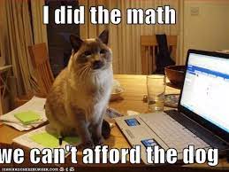 Do You Know The Answer Funny Animal Memes Funny Animal Pictures Funny Animals