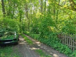 Finden sie angebote, prospekte und geschäfte aus ihrer umgebung auf kaufda.de. Immobilien Zum Kauf In Authausen