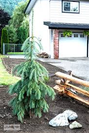 Lay out and dig a post hole; Creating A Split Rail Fence Garden Funky Junk Interiors