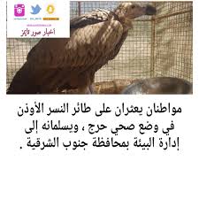 Pin By Sur Citynews On ولاية صور Food Meat Beef